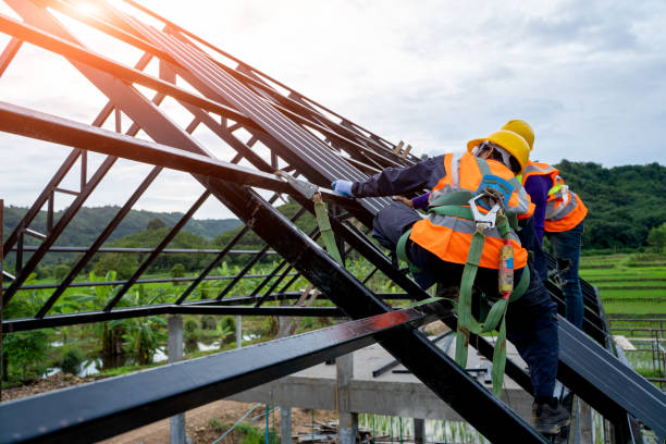 Best Roof Gutter Cleaning  in Lake Dunlap, TX