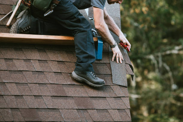 Best Local Roofing Companies  in Lake Dunlap, TX